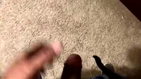 palote_69 online show from 11.15.25