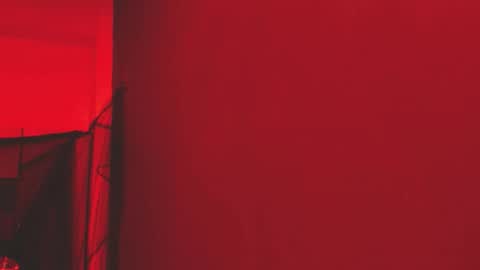  P A M  online show from 11.01.25