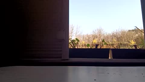 angel hris online show from 04.05.26