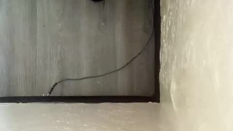 Snapshot of pantieplaytime52532 chatting on 12.25.24 pantieplaytime52532 online show from 12.25.24