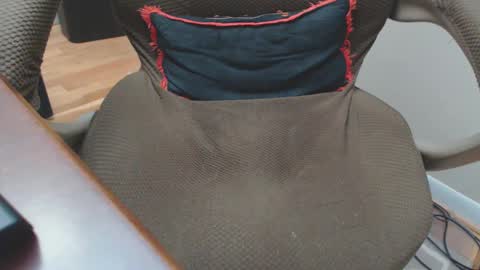 Snapshot of pantystroker chatting on 12.29.24 PS PantyStroker online show from 12.29.24