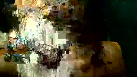 PAOLLA 23CM online show from 03.24.26