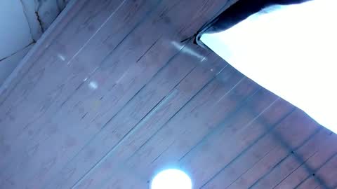 paris petit online show from 02.13.26