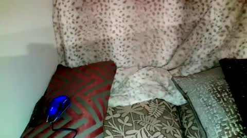 Parlay tellio online show from 12.28.24