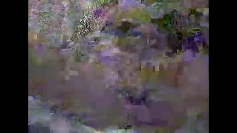 anytimeuwant online show from 02.03.26