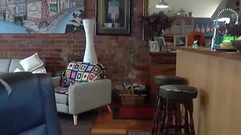 patvac online show from 11.08.25