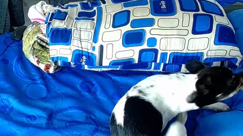 paula_willss online show from 01.06.25