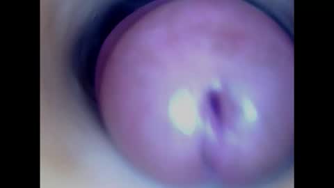 Snapshot of paulainoscente chatting on 01.29.25 Paula 18 Aninhos online show from 01.29.25
