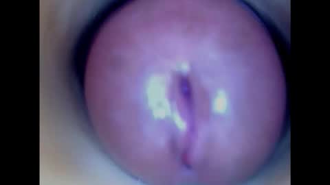 Snapshot of paulainoscente chatting on 01.29.25 Paula 18 Aninhos online show from 01.29.25