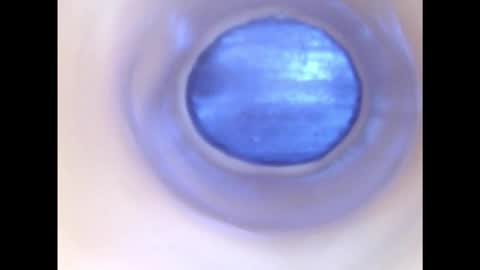 Paula 18 Aninhos online show from 12.02.25