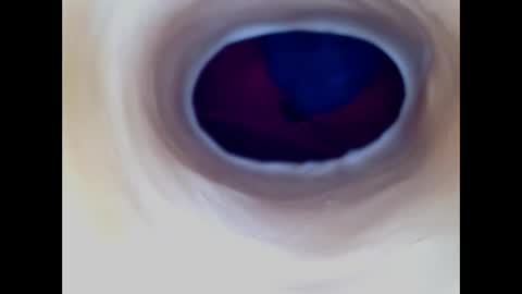 Paula 18 Aninhos online show from 12.17.25