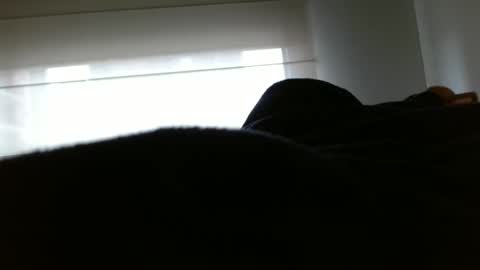 paulina online show from 02.10.25