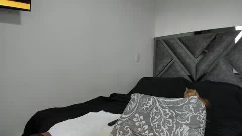 Paulina online show from 11.12.25