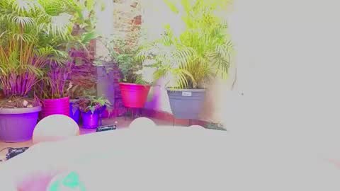 Snapshot of paulina_sodi chatting on 06.19.26 Paulina online show from 06.19.26