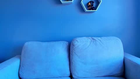 Paul Phoenix online show from 10.05.25