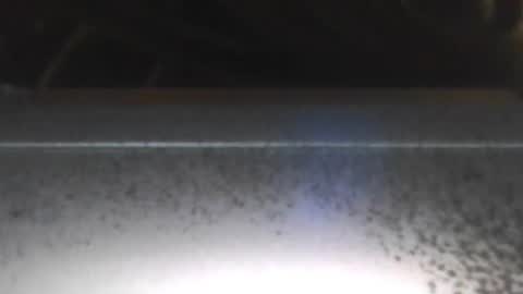 Snapshot of paulstetson chatting on 12.26.24 paulstetson online show from 12.26.24