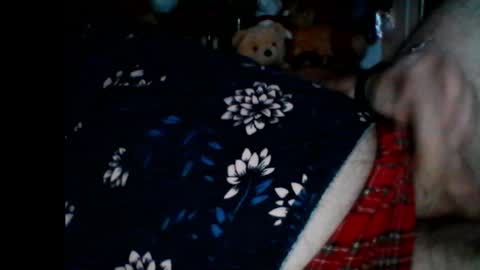 Snapshot of pbemid chatting on 01.06.25 Papabear online show from 01.06.25