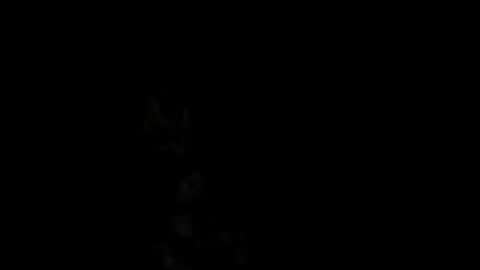 Alex online show from 02.18.25