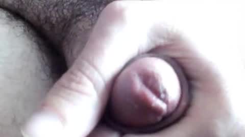 Snapshot of peiboluna chatting on 02.23.25 peiboluna online show from 02.23.25