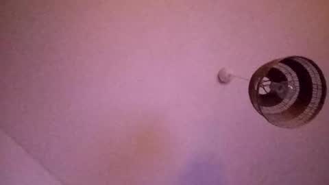 Snapshot of penesvoladores92 chatting on 02.28.26 penesvoladores92 online show from 02.28.26