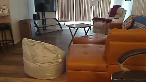 perfecto1957 online show from 02.13.25