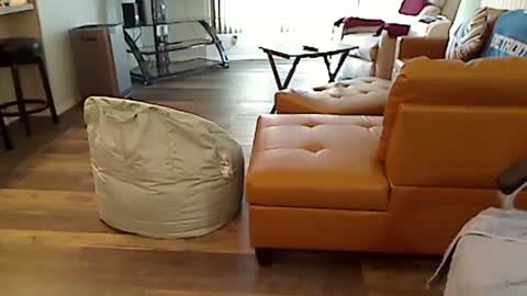 perfecto1957 online show from 03.04.25