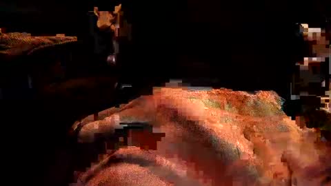 perfecto337 online show from 02.09.25