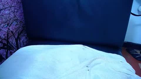 Snapshot of pervertt_linda chatting on 11.28.25 Linda online show from 11.28.25