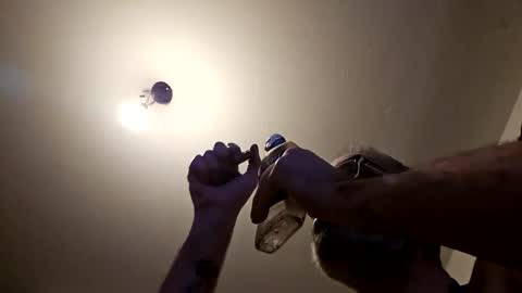 Snapshot of pervpig1 chatting on 11.27.25 pervpig1 online show from 11.27.25