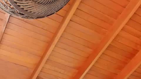 Snapshot of peter_jackson1 chatting on 12.04.24 peter jackson1 online show from 12.04.24