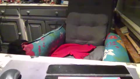 make me cum in pvt dutch german daddy c2c bigcock online show from 11.01.25