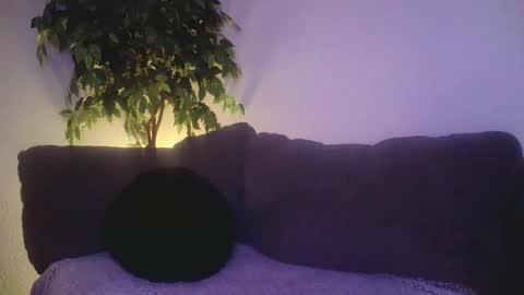 petite treat  online show from 12.19.24