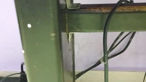 Snapshot of petiteivoryqueen chatting on 12.23.24 danna online show from 12.23.24