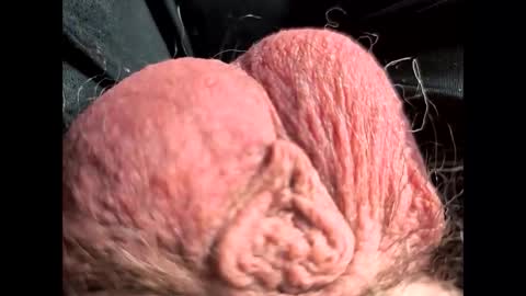 Snapshot of petrol63102 chatting on 02.22.26 petrol63102 online show from 02.22.26