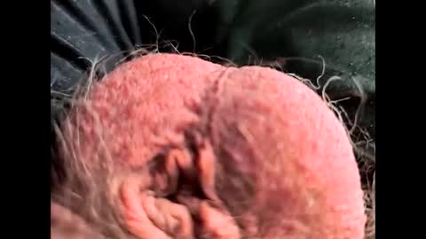 Snapshot of petrol63102 chatting on 02.26.26 petrol63102 online show from 02.26.26