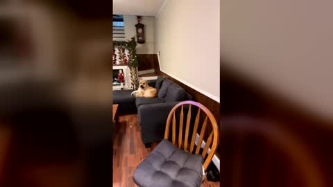 PhatAssBlond online show from 12.15.25