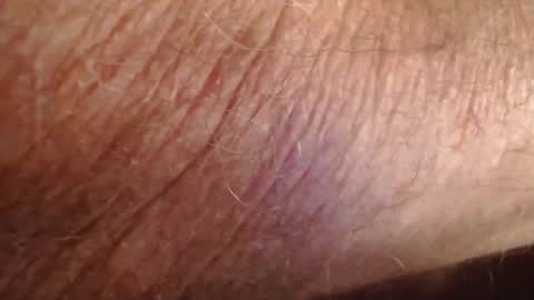 phil6369000 online show from 12.19.25