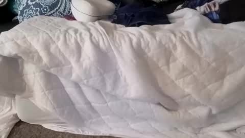 phillipdee online show from 01.07.26