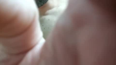 Snapshot of piacere39 chatting on 12.09.24 piacere39 online show from 12.09.24