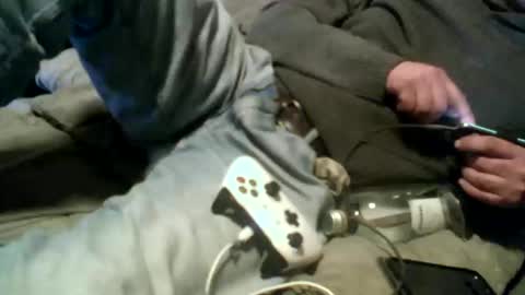 Snapshot of pierke34 chatting on 01.09.26 Pierke online show from 01.09.26