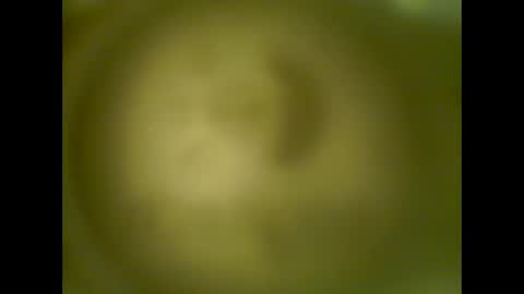 pierrecard1 online show from 10.13.25