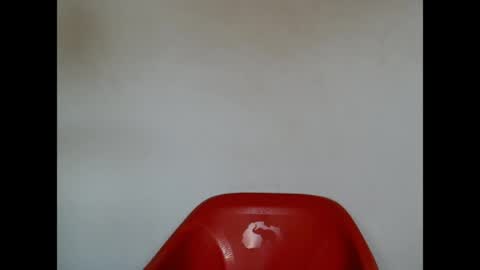 Snapshot of pinkxsugar chatting on 04.21.26 pinkxsugar online show from 04.21.26