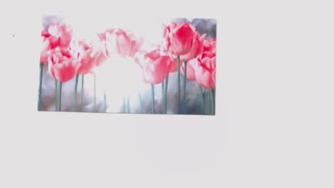 pinky_f00x online show from 03.28.26