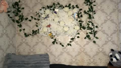 Snapshot of pinochetti chatting on 02.17.26 Incubus online show from 02.17.26