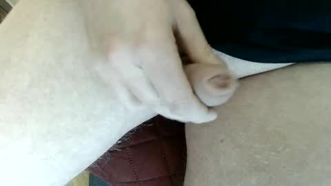 pippo online show from 01.03.25