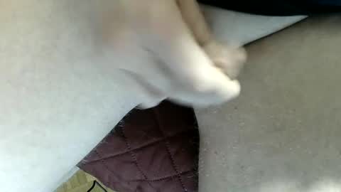 pippo online show from 02.02.25