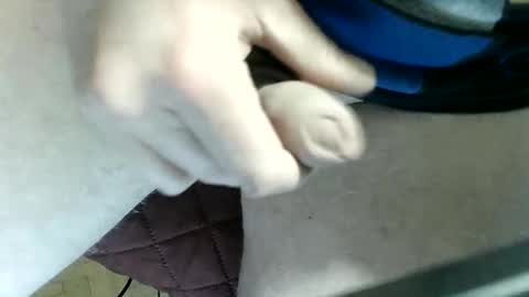 pippo online show from 03.11.25