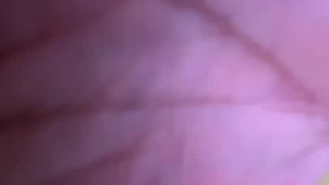 pistolpete9891 online show from 01.25.25