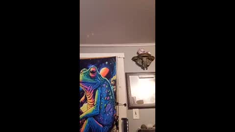 pizzedwife online show from 02.13.26