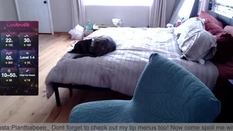 Plantbabeee online show from 02.26.25